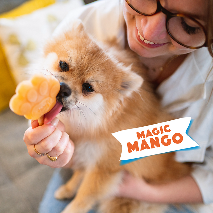 SMOOFL hondenijsjes ijsmix mango