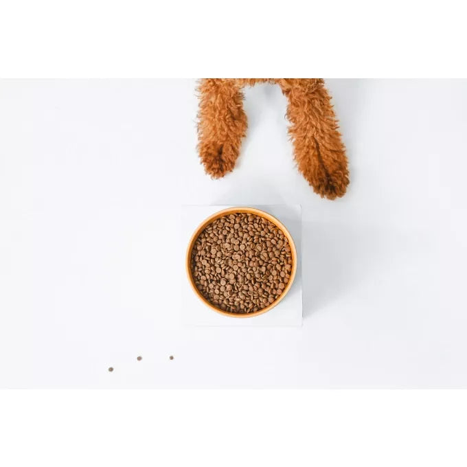 Superior care voor honden met rode vacht adult small zalm 1.5kg