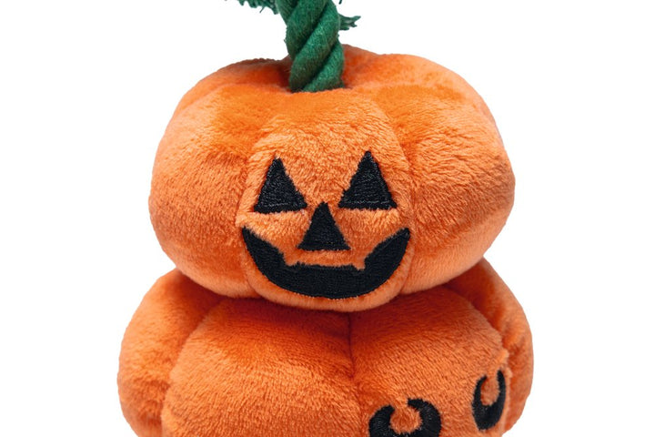 Halloween pompoen touw 25cm