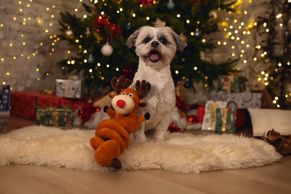 Kerst rendier spiraal