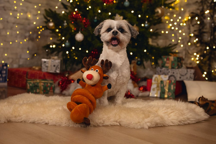 Kerst rendier spiraal