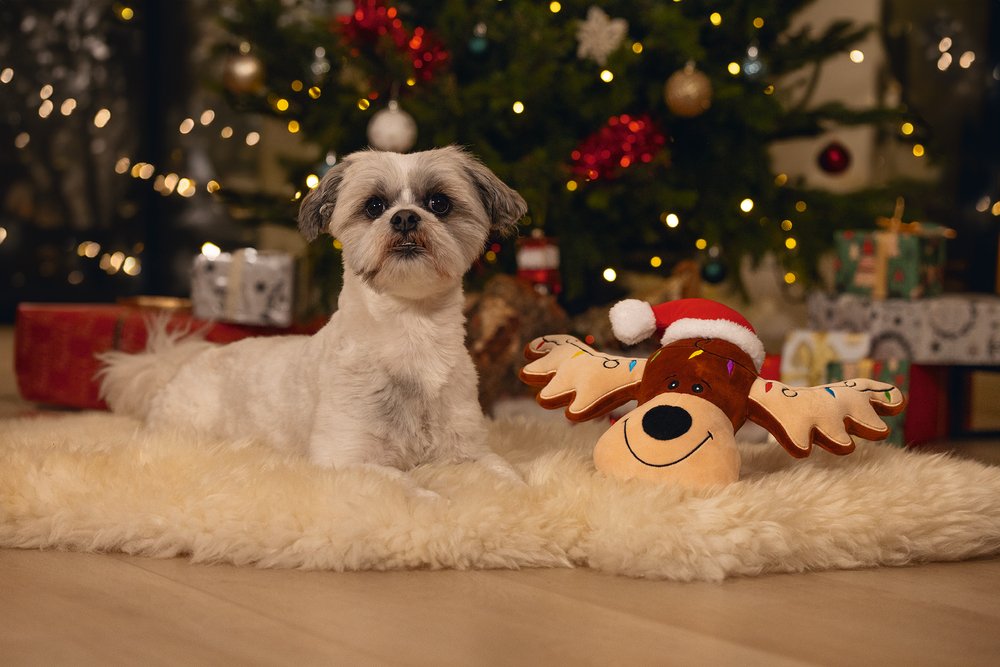 Kerstknuffel Rudolf