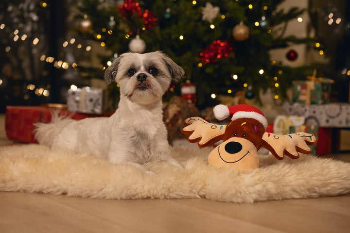 Kerstknuffel Rudolf