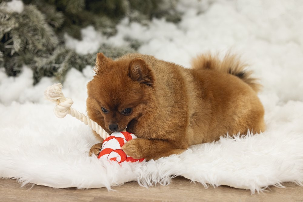 Kerst lolly rood 25cm
