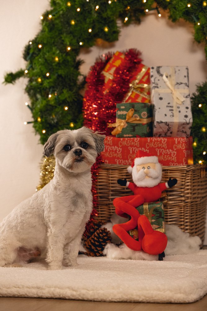 Kerstknuffel kerstman spiraal