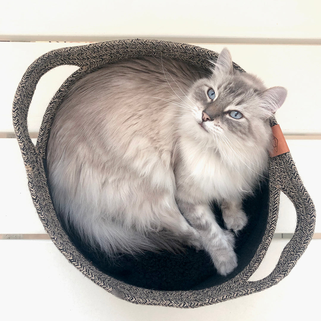 TOD kattenmand zwart