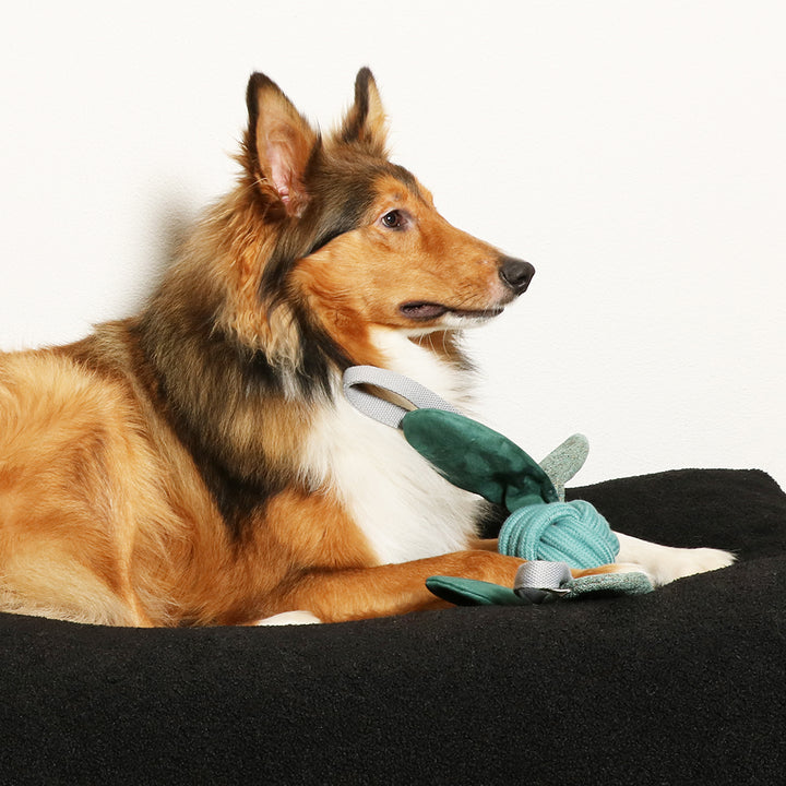 Jule hondenspeeltje blauw