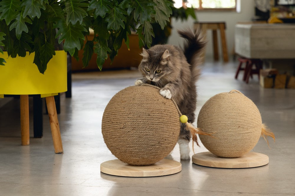 DBL Krabbol Balty XL 31.5cm - Pip & Pepper by Dierenspeciaalzaak Huysmans