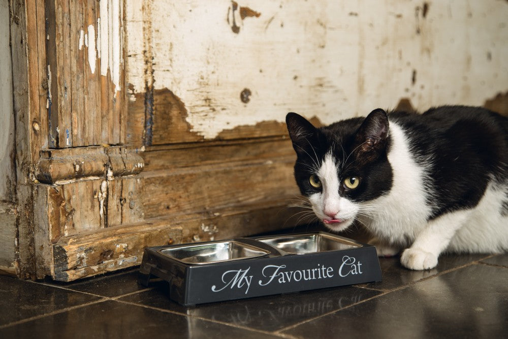 DBL eet- en drink bak grijs my favourite cat - Pip & Pepper by Dierenspeciaalzaak Huysmans