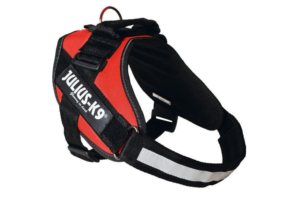 JULIUS K9 IDC powertuig rood - Pip & Pepper by Dierenspeciaalzaak Huysmans