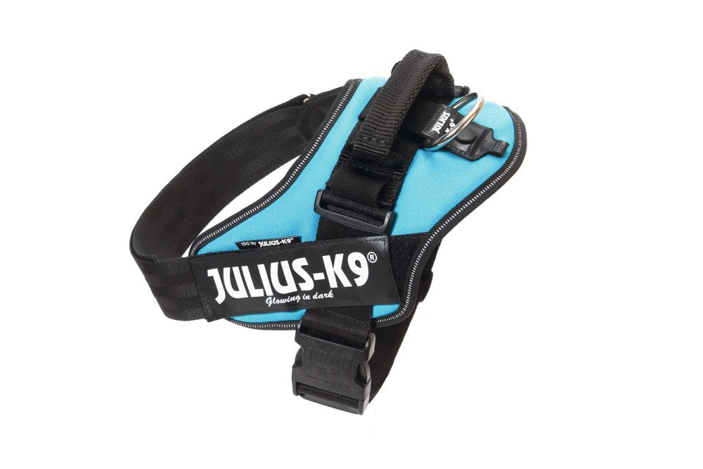 JULIUS K9 IDC powertuig aqua - Pip & Pepper by Dierenspeciaalzaak Huysmans