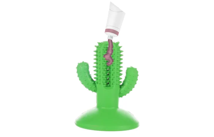 Cactus tandverzorging speelgoed - Pip & Pepper by Dierenspeciaalzaak Huysmans