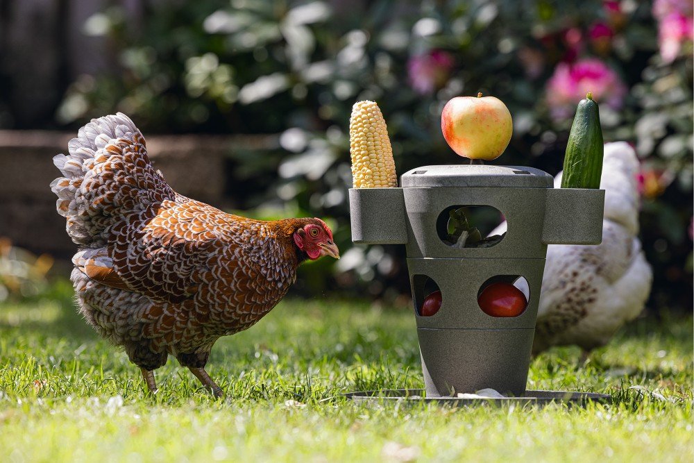 Snacktoren kippen - Pip & Pepper by Dierenspeciaalzaak Huysmans