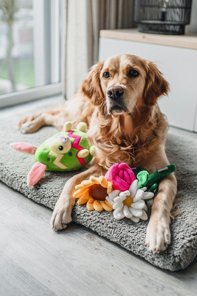 Pasen bloem Daisy Madelief 30cm - Pip & Pepper by Dierenspeciaalzaak Huysmans