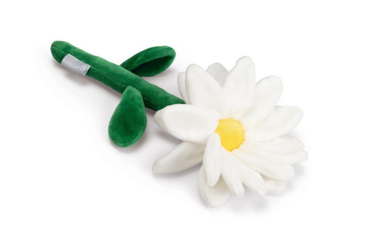 Pasen bloem Daisy Madelief 30cm - Pip & Pepper by Dierenspeciaalzaak Huysmans