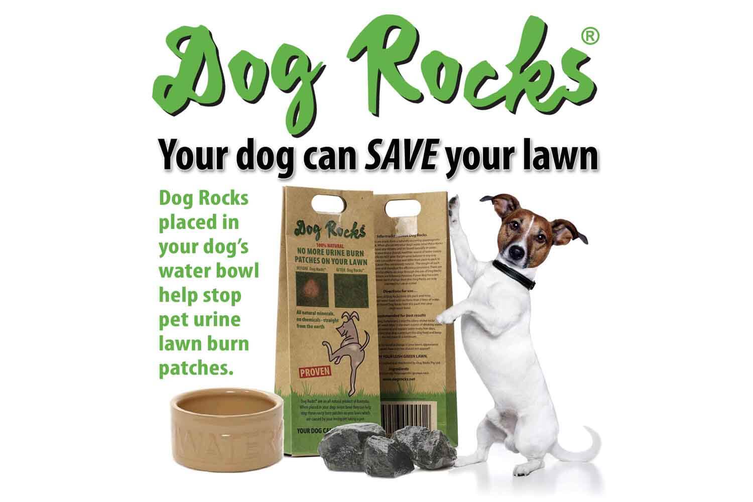 Dog rocks anti-urine plekken 200gr - Pip & Pepper by Dierenspeciaalzaak Huysmans
