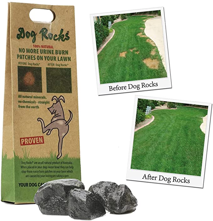 Dog rocks anti-urine plekken 200gr - Pip & Pepper by Dierenspeciaalzaak Huysmans