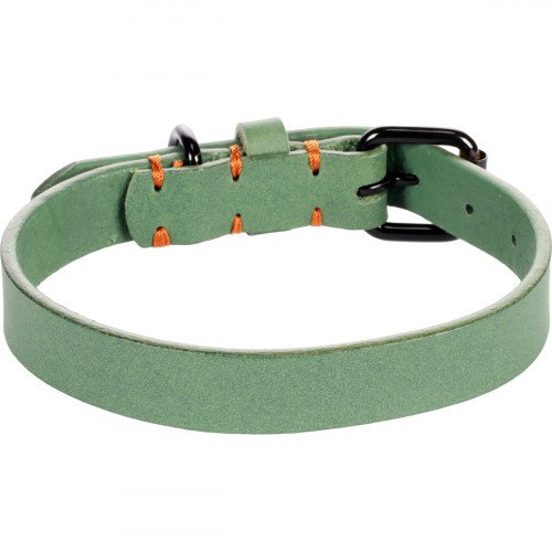 Halsband Leano leer groen - Pip & Pepper by Dierenspeciaalzaak Huysmans