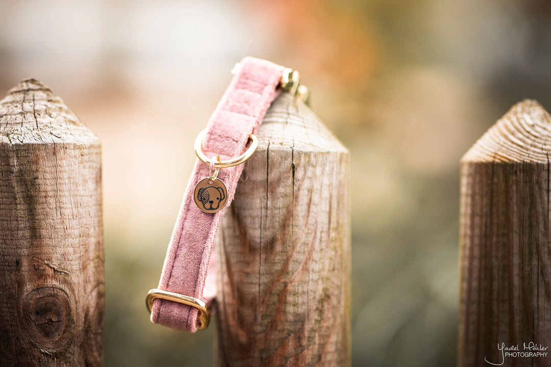 Collar velvet roze - Pip & Pepper by Dierenspeciaalzaak Huysmans