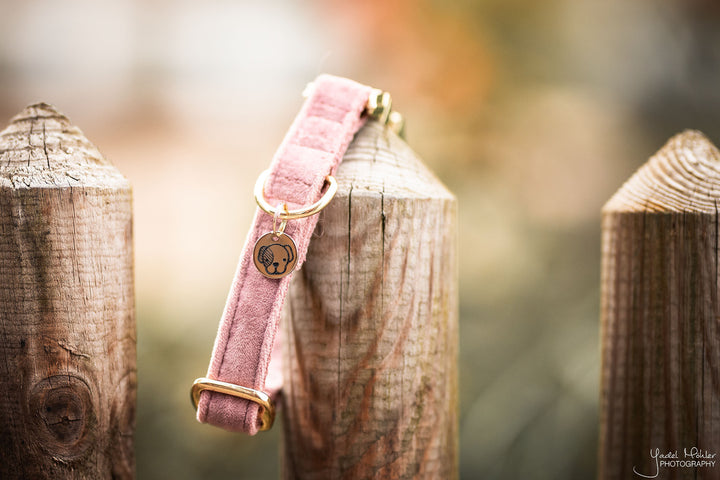 Collar velvet roze - Pip & Pepper by Dierenspeciaalzaak Huysmans