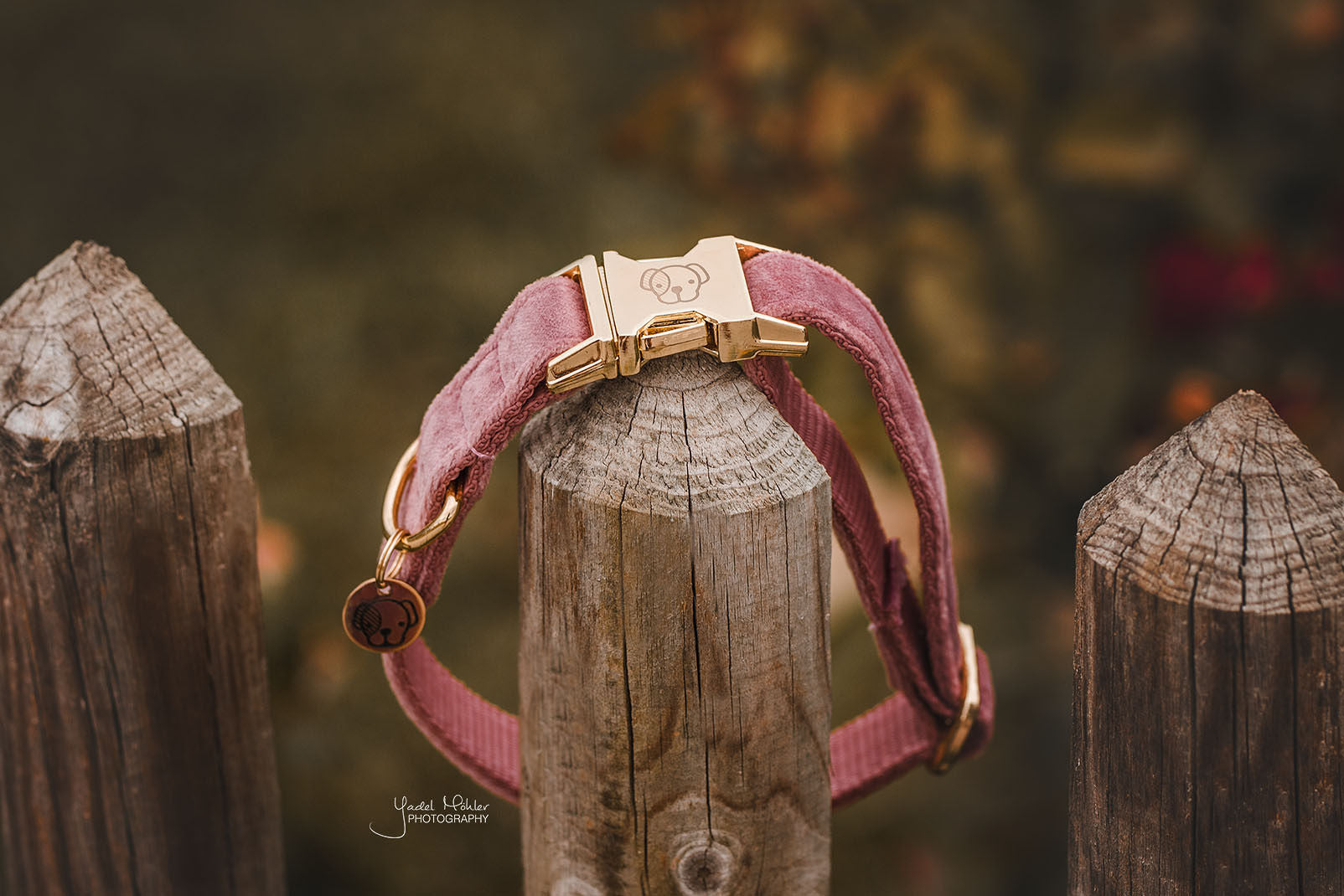 Collar velvet roze - Pip & Pepper by Dierenspeciaalzaak Huysmans