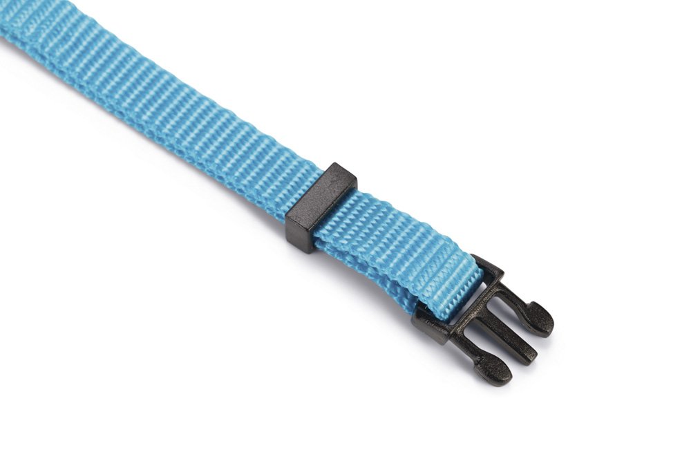Nylon halsband blauw met bel - Pip & Pepper by Dierenspeciaalzaak Huysmans