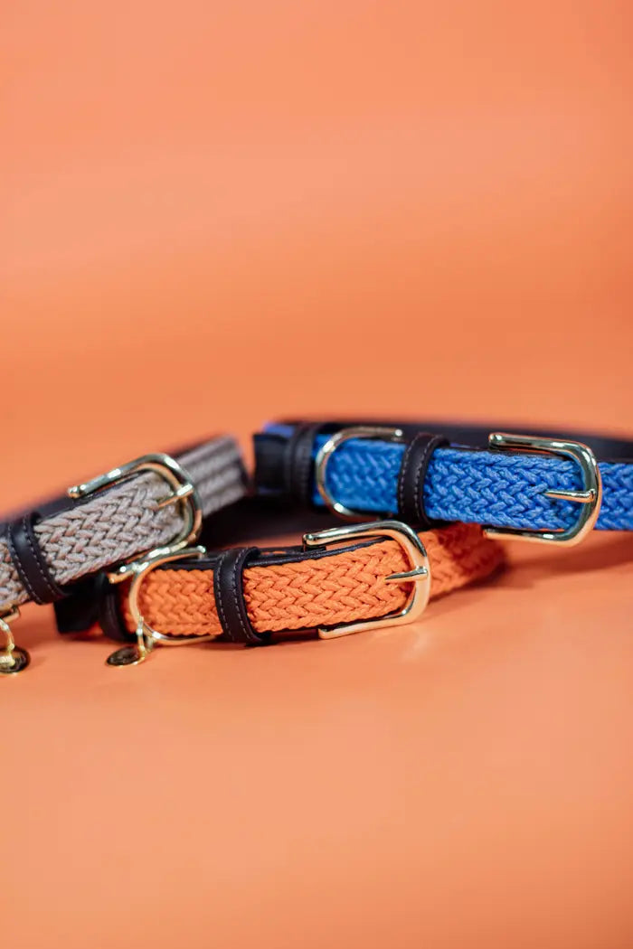 Kentucky halsband oranje gevlochten nylon