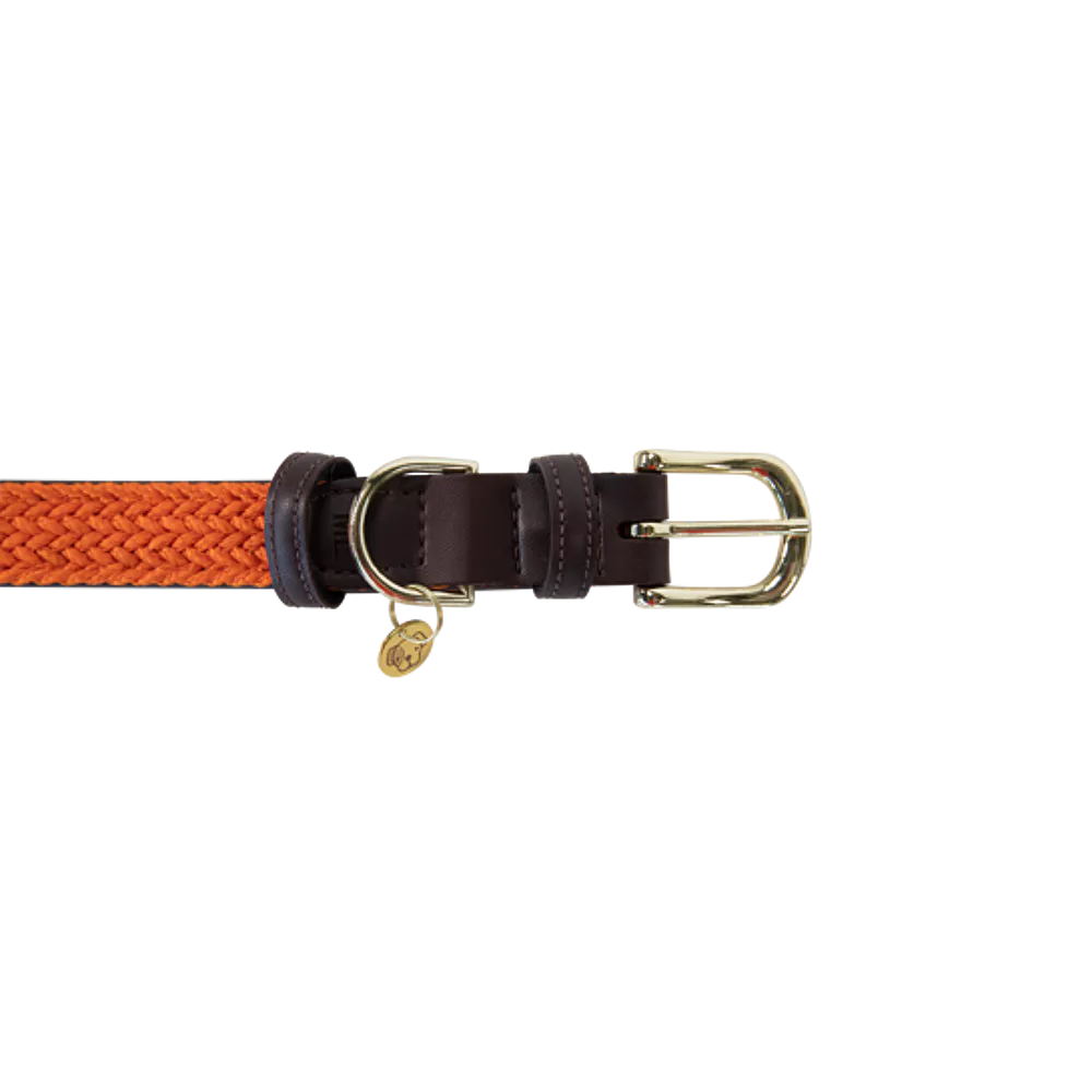 Kentucky halsband oranje gevlochten nylon