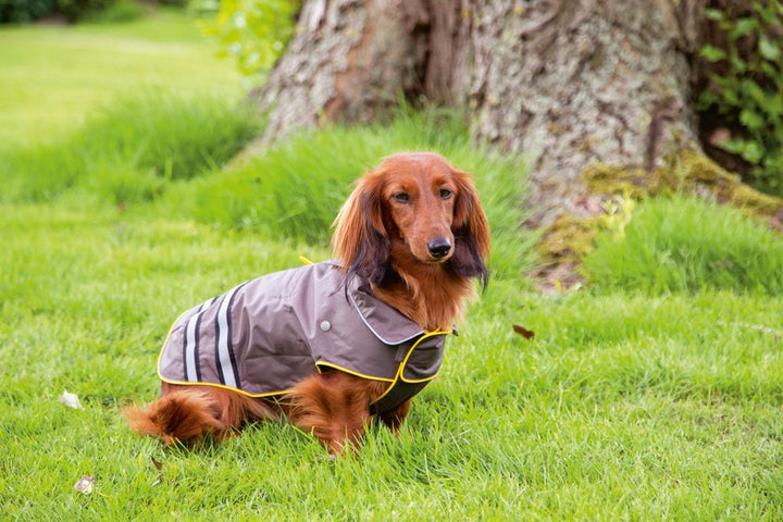 Honden regenjas Seja - Pip & Pepper by Dierenspeciaalzaak Huysmans