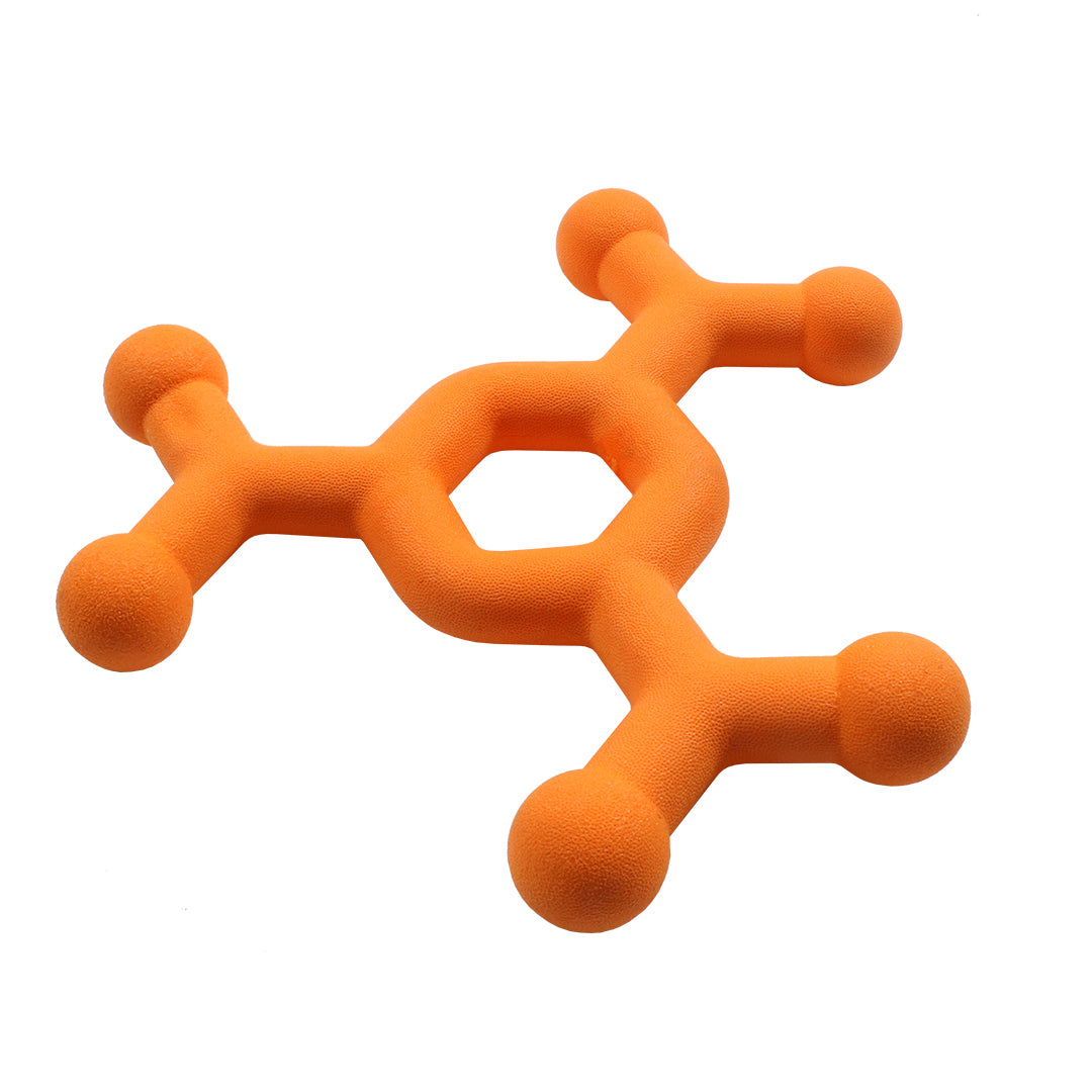 Dawg science hondenspeeltje