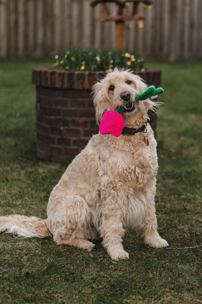 Pasen tulp tulipa 30 cm - Pip & Pepper by Dierenspeciaalzaak Huysmans