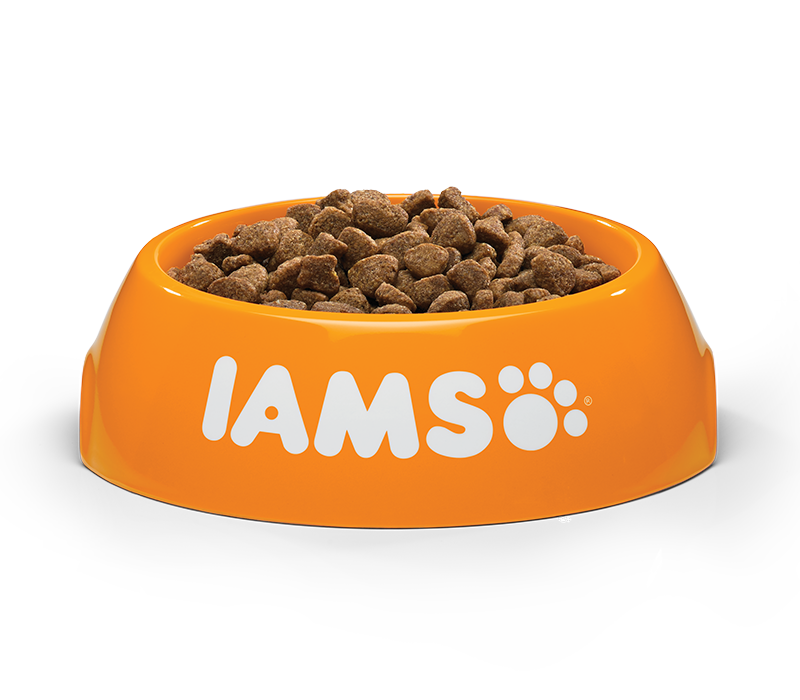IAMS vitality adult lam 1,5kg - Pip & Pepper by Dierenspeciaalzaak Huysmans