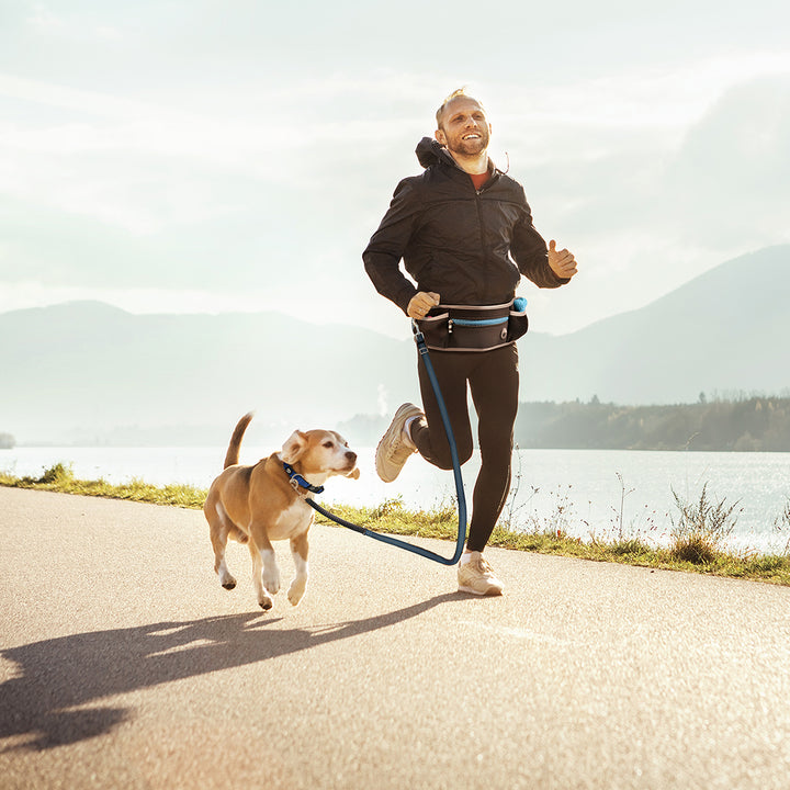 Sportriem met looplijn - Pip & Pepper by Dierenspeciaalzaak Huysmans