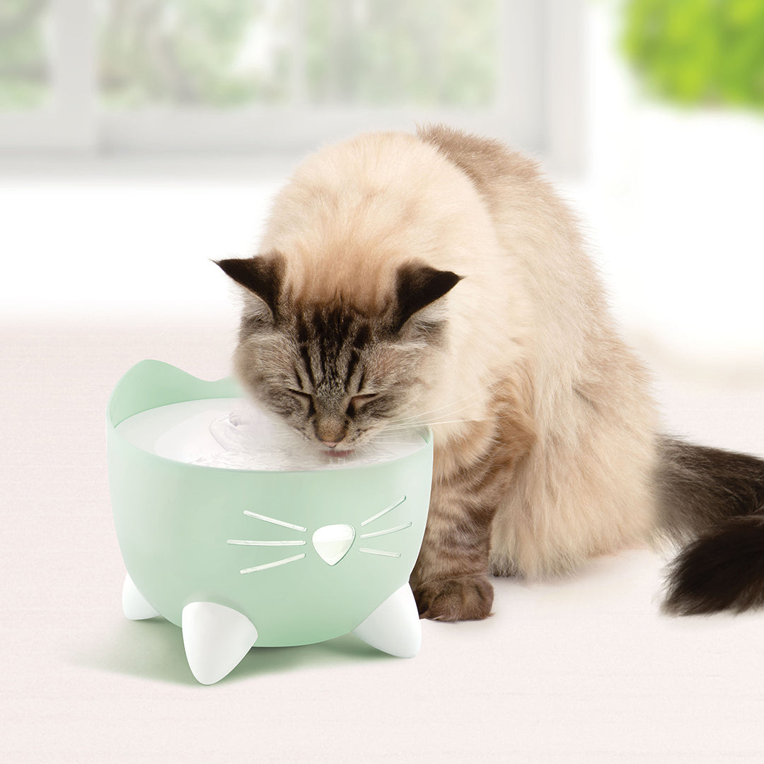 Cat it pixi drinkfontein groen - Pip & Pepper by Dierenspeciaalzaak Huysmans