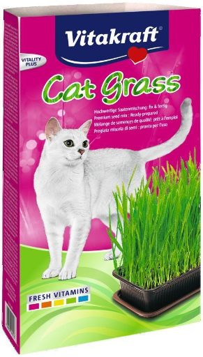 Kattengras 120gr - Pip & Pepper by Dierenspeciaalzaak Huysmans