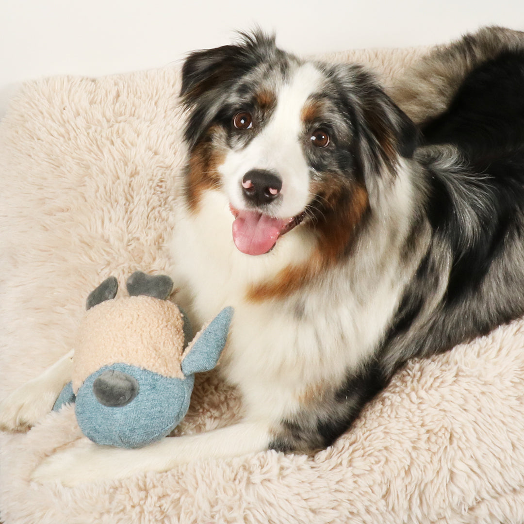 Hondenspeeltje Isla pinguin - Pip & Pepper by Dierenspeciaalzaak Huysmans