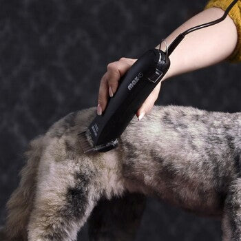 Tondeuse Moser max 45 - Pip & Pepper by Dierenspeciaalzaak Huysmans
