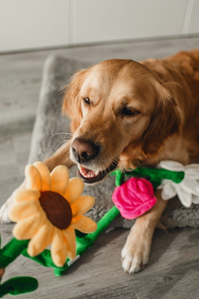 Pasen zonnebloem Sunny geel 30cm - Pip & Pepper by Dierenspeciaalzaak Huysmans