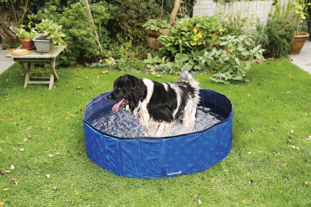 Hondenzwembad M doggy dip 120x30 cm - Pip & Pepper by Dierenspeciaalzaak Huysmans